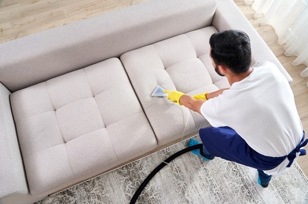 c users norozian downloads commercial sofa cleani