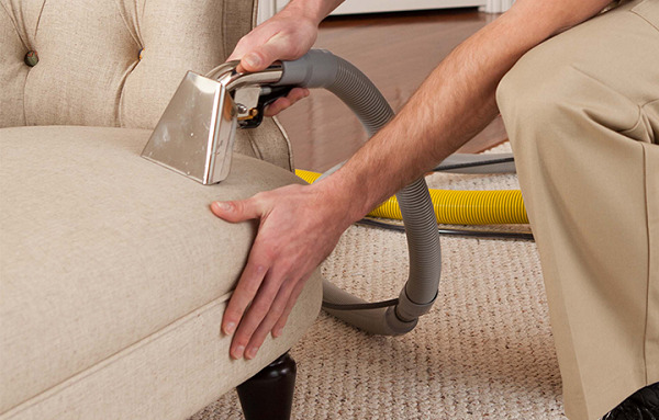 c users norozian downloads fabric sofa cleaning 1