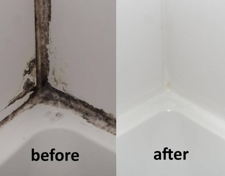پاک کردن کپک کاشی و کپک دیوار حمام