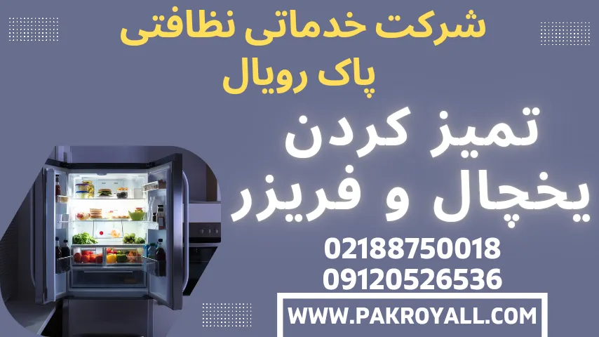 اهمیت تمیز کردن یخچال و فریزر