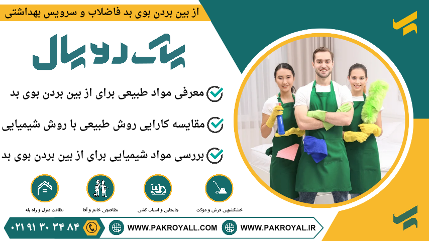 از بین بردن بوی بد فاضلاب با مواد طبیعی