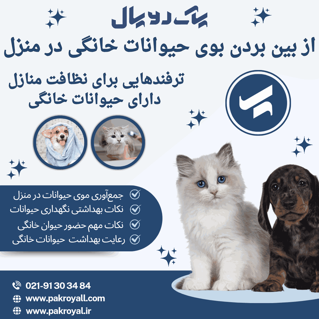 شرکت خدماتی نظافتی پاک رویال - نظافت منزل در تهران